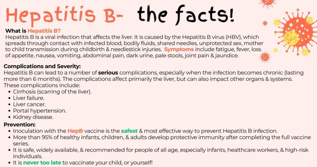 Hepatitis B The Facts 2 E1769419798586