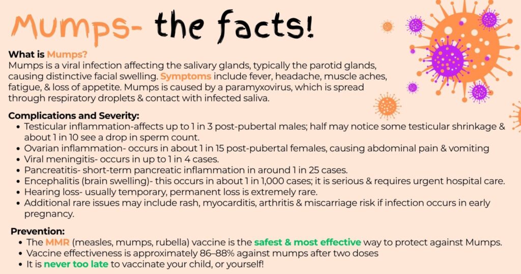Mumps The Facts 2 E1769420130273 2048x1076