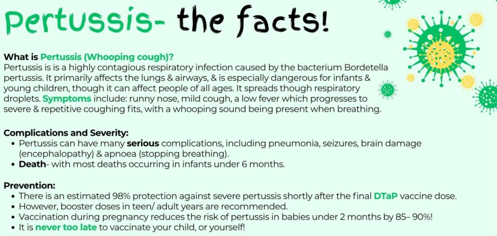 Pertussis The Facts 2 1 E1769420196336 2048x972