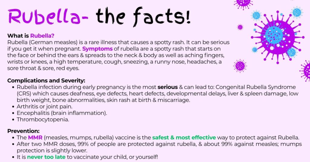 Rubella The Facts 2 E1769420476243 2048x1072